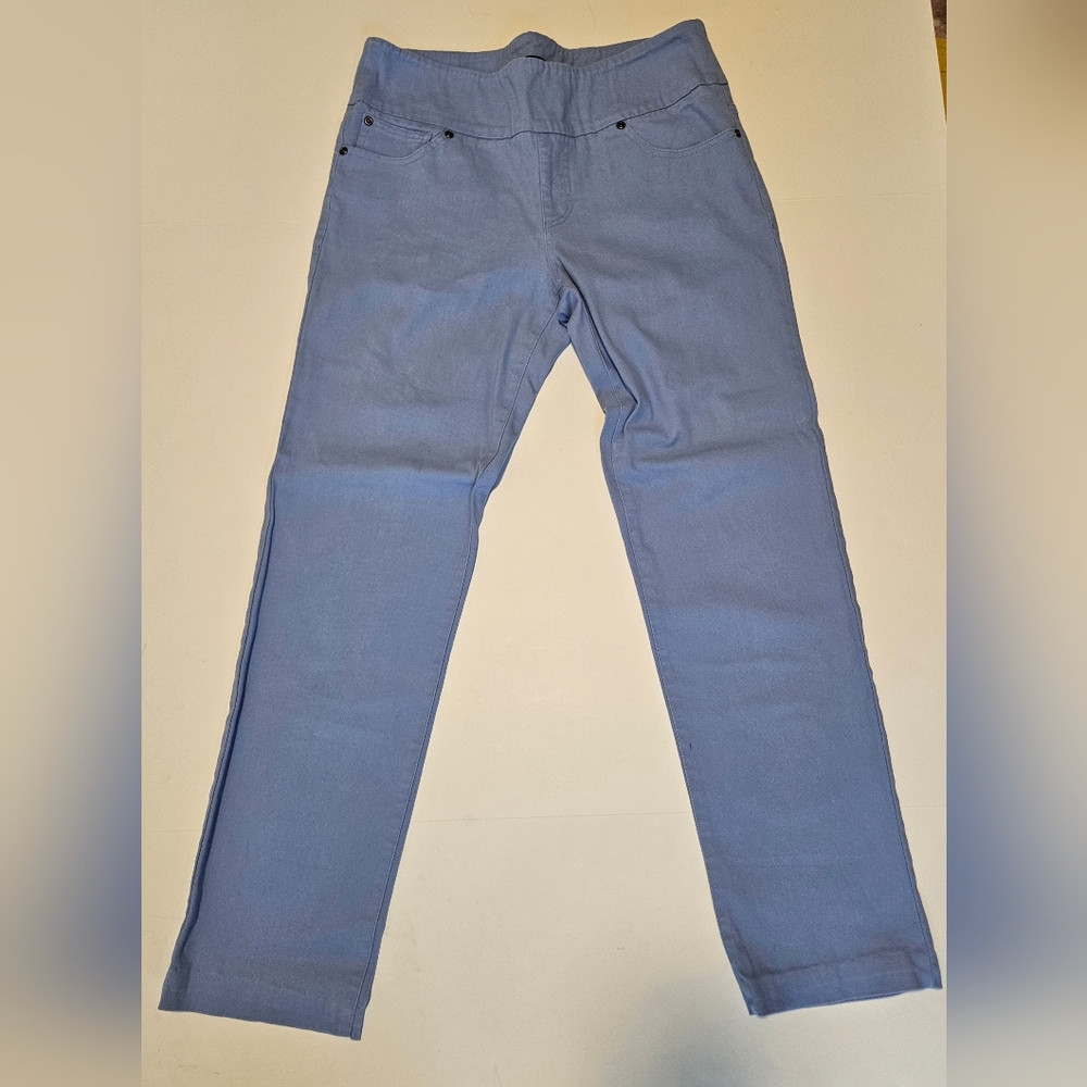 Chadwicks of Boston Pull On Straight Leg Pants. Size 8